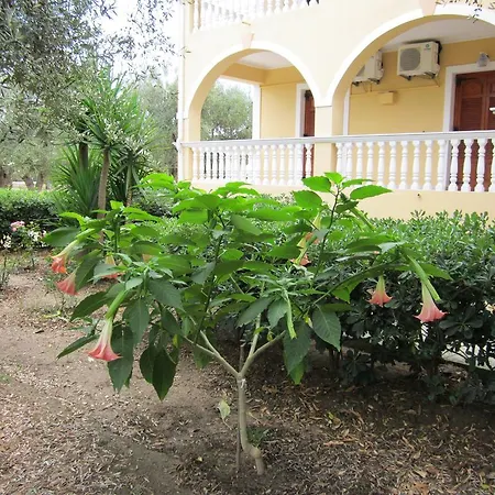 Apartament Dimaras *