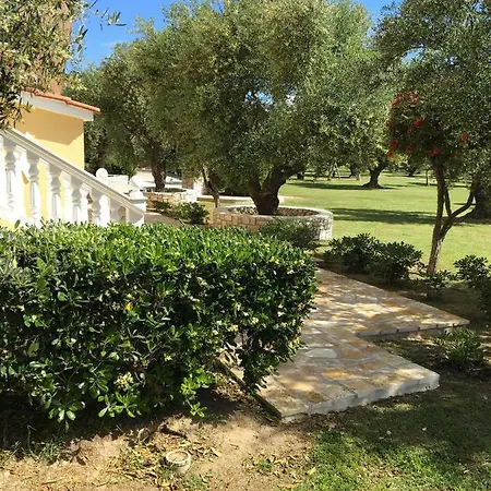 Dimaras Vasilikos (Zakynthos)
