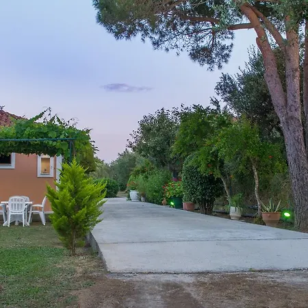 Dimaras * Vasilikos (Zakynthos)