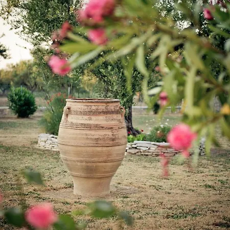 Dimaras Appartamento Vasilikí