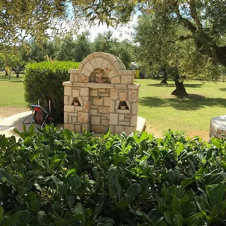 Dimaras Vasilikos (Zakynthos)