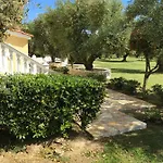 Dimaras Vasilikí