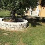 Dimaras Vasilikí
