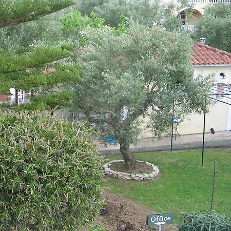 Dimaras Vasilikí