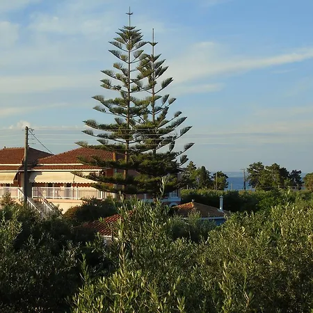 Apartament Dimaras *